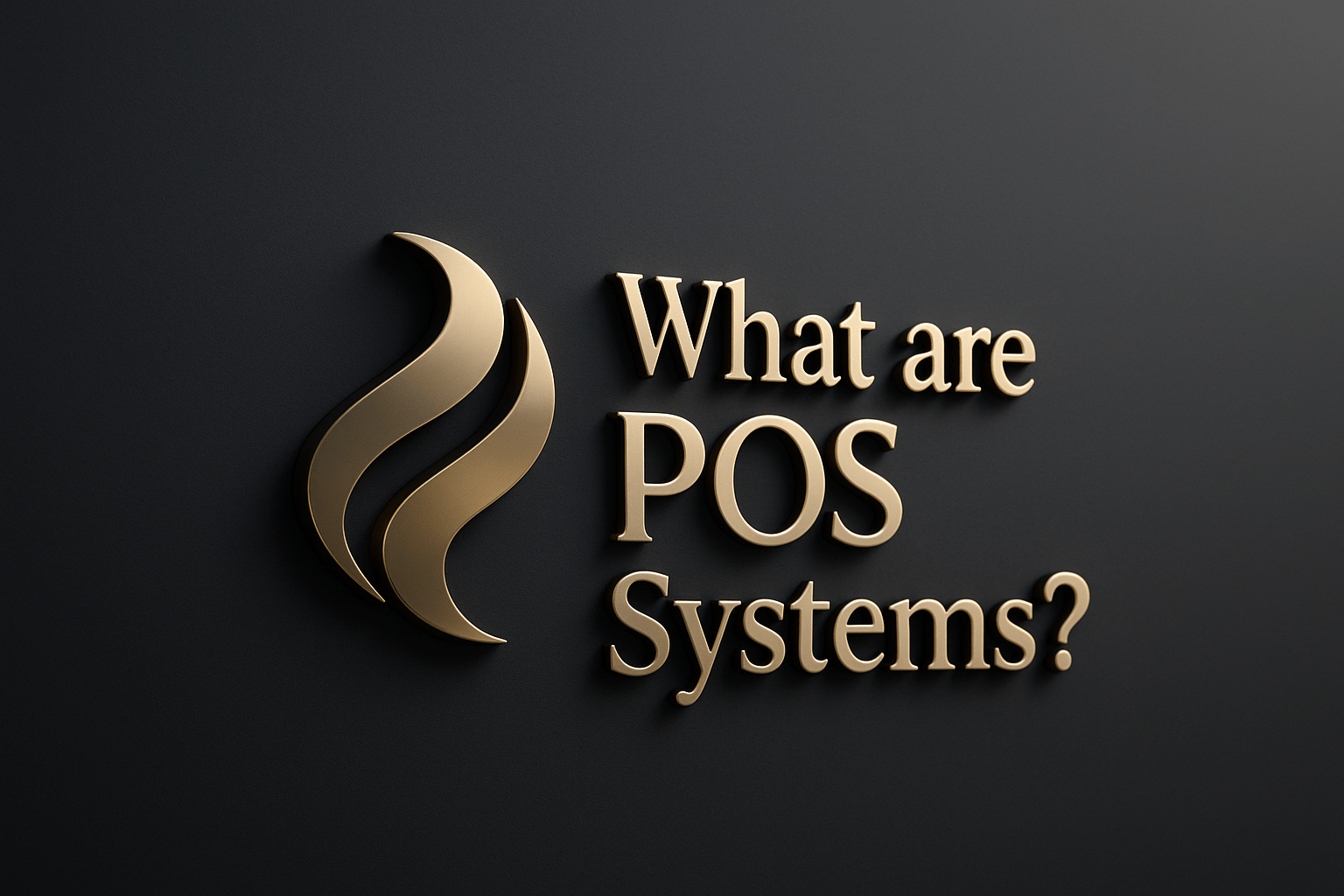 What are the POS Systems?